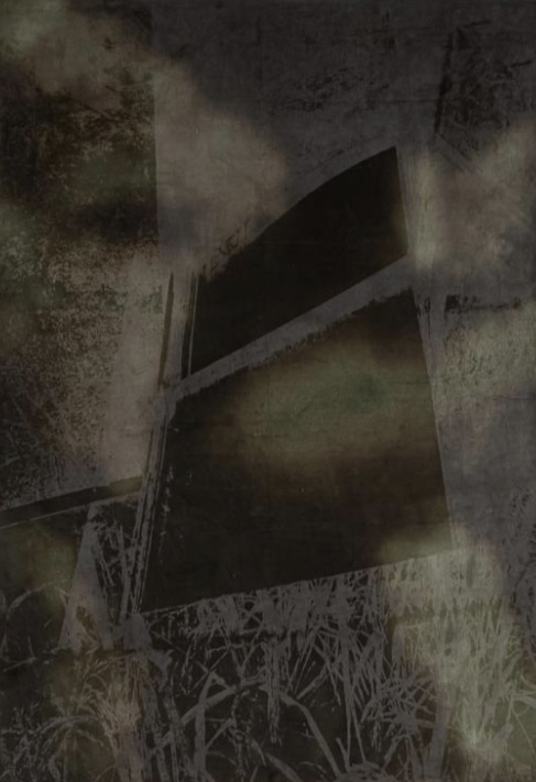 Thoughts Wandered Barefoot, 2025